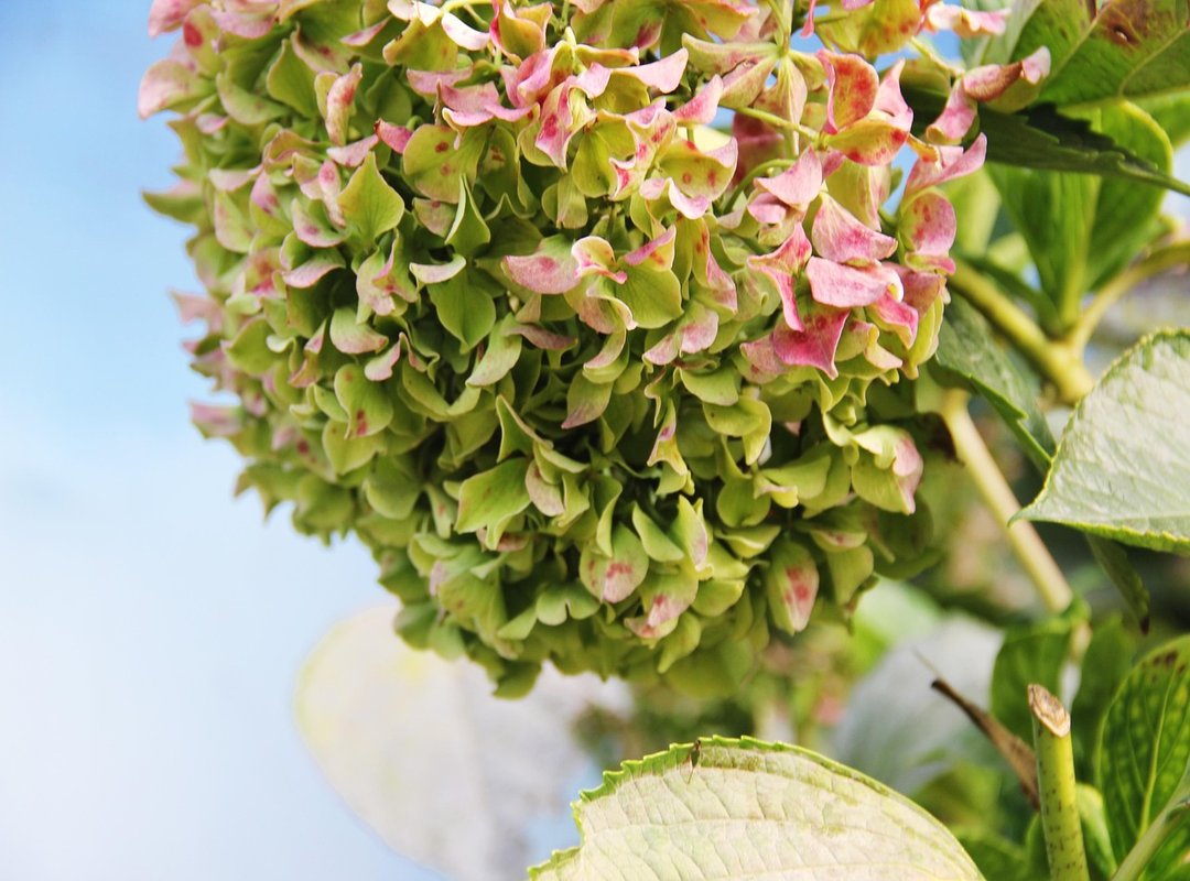 Decoration Advice Kdadesignology