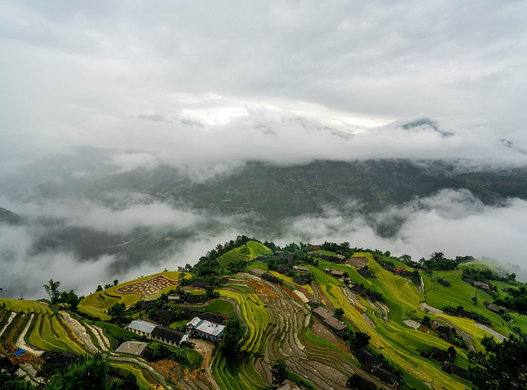 Wutawhelp Advice by Whatutalkingboutwillis