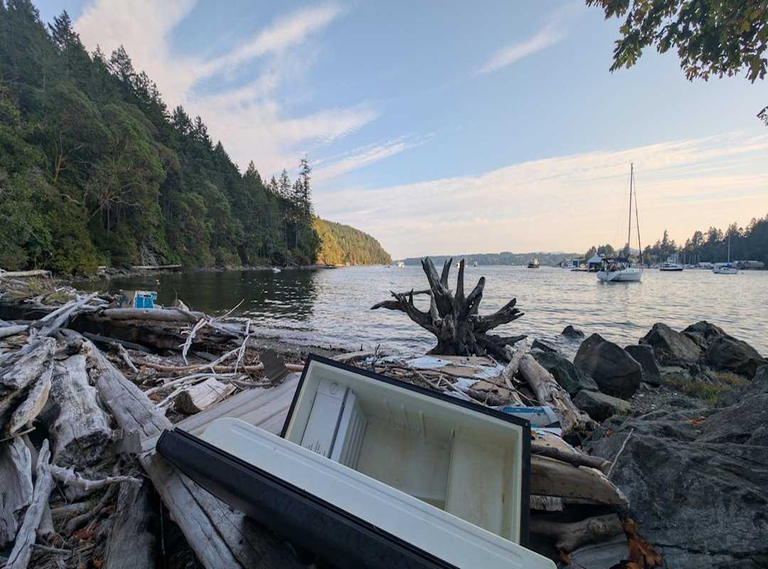 coastal living beach
