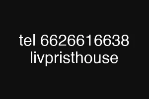 tel 6626616638 livpristhouse