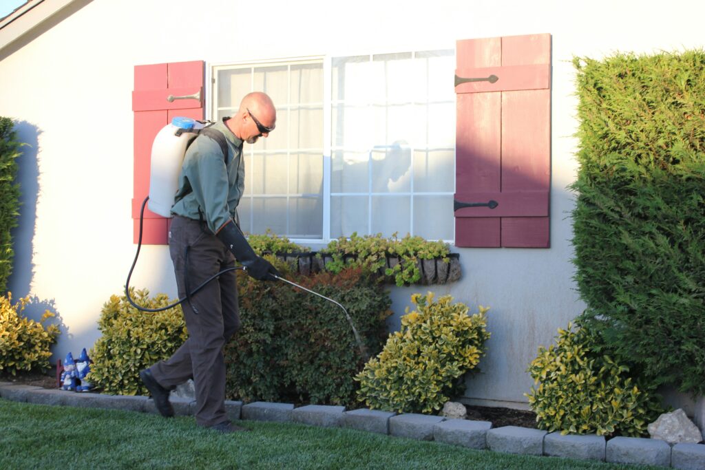 pro pest control canberra UjGSnzfDUl8 unsplash