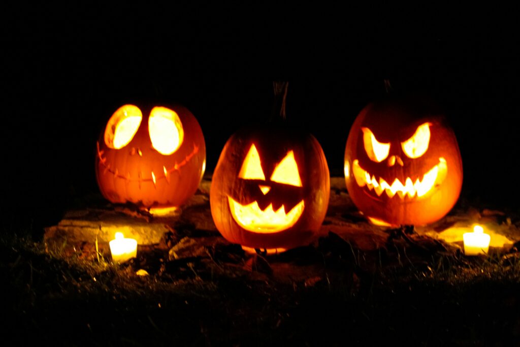 Fun Halloween Activities That Keep the Home Comfortable and Pest-Aware